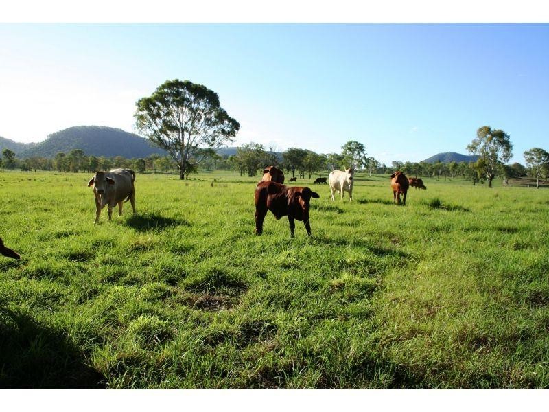 Lower Wonga QLD 4570