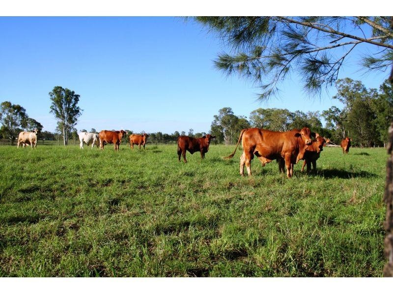 Lower Wonga QLD 4570