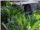 63  Old Maryborough Rd, Gympie QLD 4570