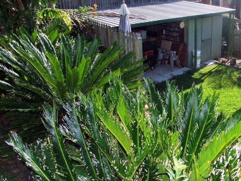 63  Old Maryborough Rd, Gympie QLD 4570