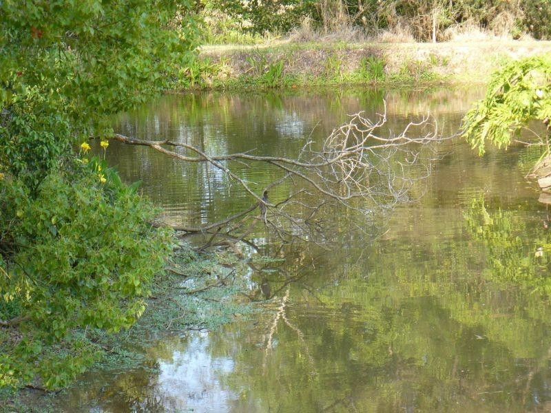 19 Johnstone Road, Southside QLD 4570