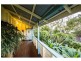 14 Alfred St, Gympie QLD 4570