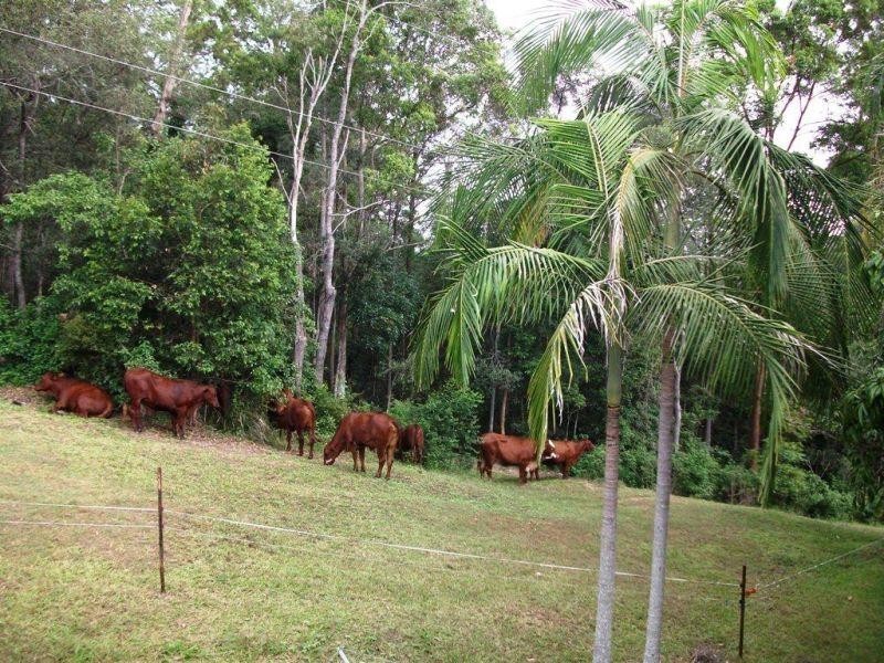 120 Ormes Road, Wilsons Pocket QLD 4570