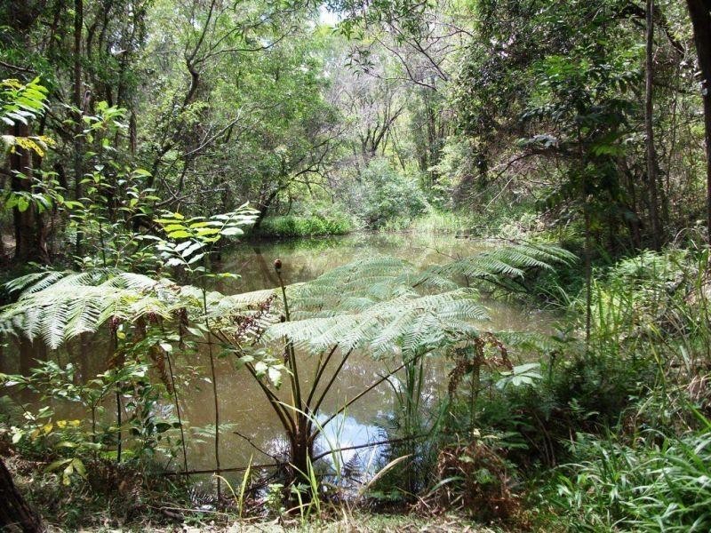 120 Ormes Road, Wilsons Pocket QLD 4570