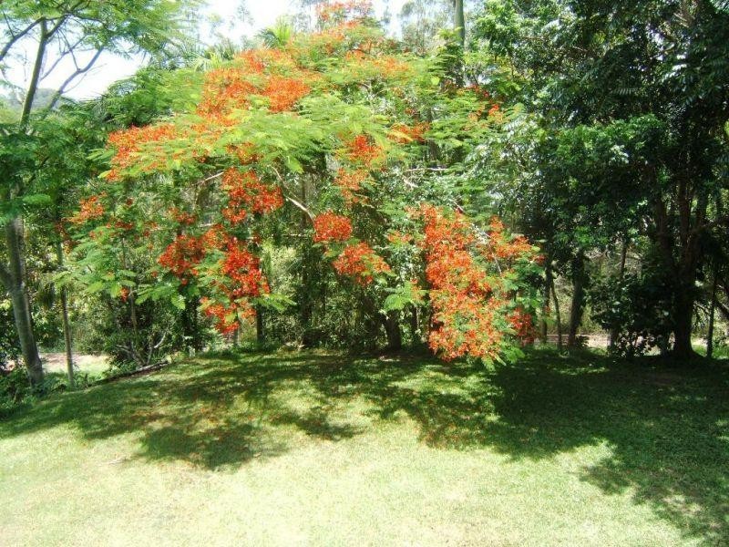 120 Ormes Road, Wilsons Pocket QLD 4570