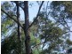 120 Ormes Road, Wilsons Pocket QLD 4570