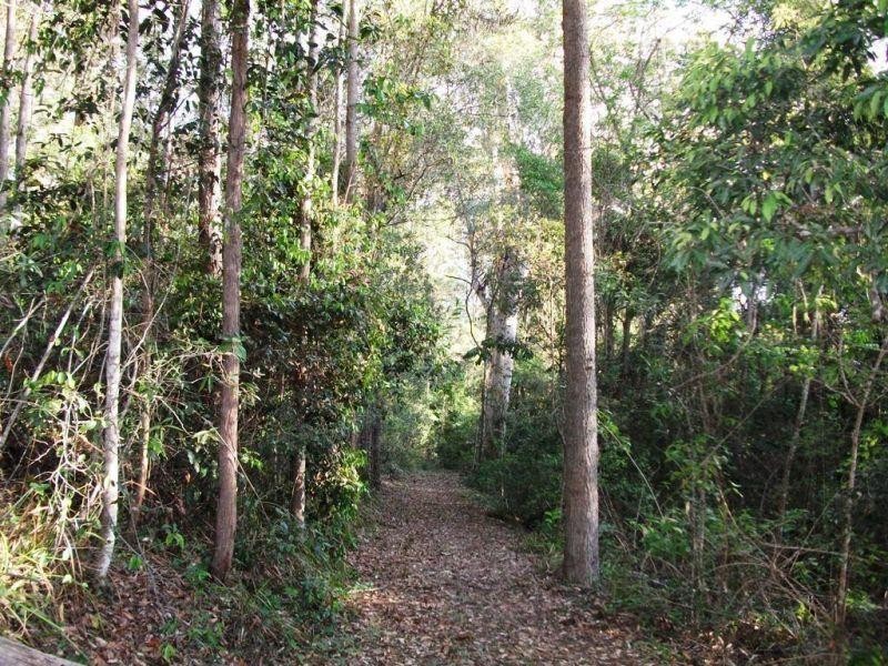120 Ormes Road, Wilsons Pocket QLD 4570