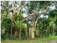 120 Ormes Road, Wilsons Pocket QLD 4570