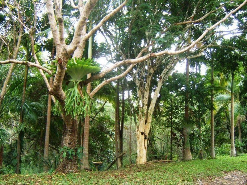 120 Ormes Road, Wilsons Pocket QLD 4570