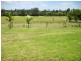 281  Old Goomboorian Road, Veteran QLD 4570