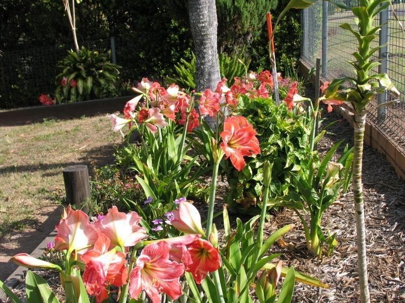 30 Elizabeth, Gympie QLD 4570