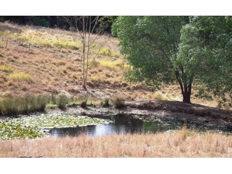 77 Ces Rivers Rd, Tamaree QLD 4570