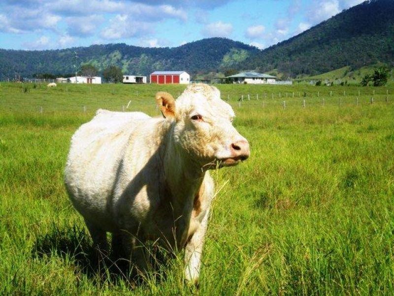 3436 Gympie-Woolooga Road, Lower Wonga QLD 4570