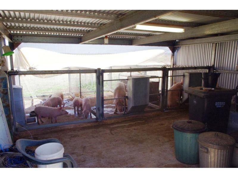 3436 Gympie-Woolooga Road, Lower Wonga QLD 4570
