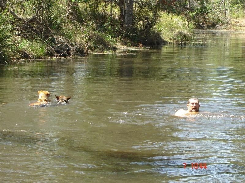 326 Beckmanns Road, Glenwood QLD 4570