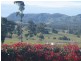 319 Hyland Road, East Deep Creek QLD 4570