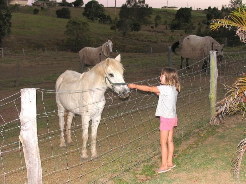 209 Hyland Road, East Deep Creek QLD 4570