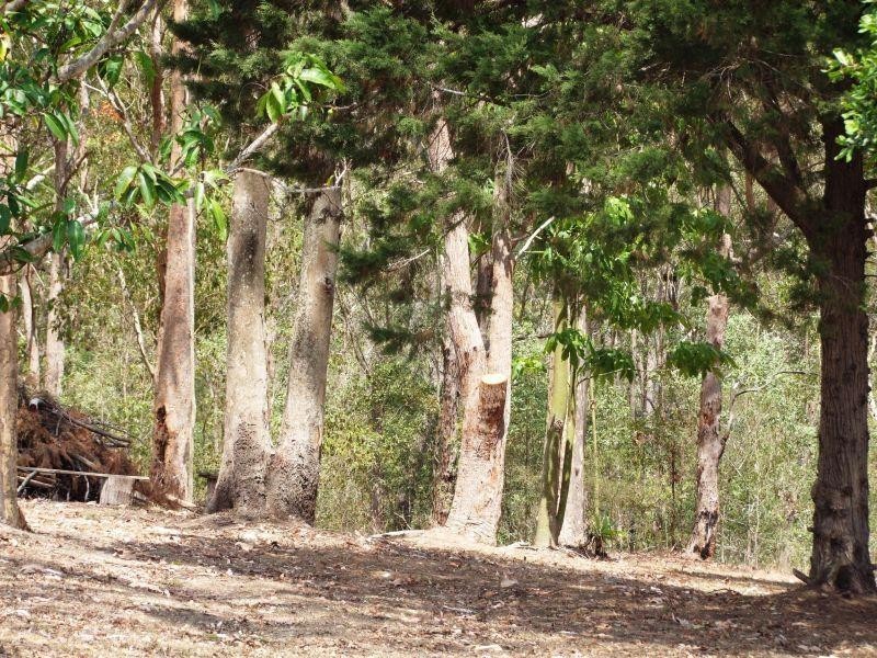 118 Old Maryborough Rd, Gympie QLD 4570