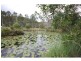 742 Shadbolt Road, Cedar Pocket QLD 4570