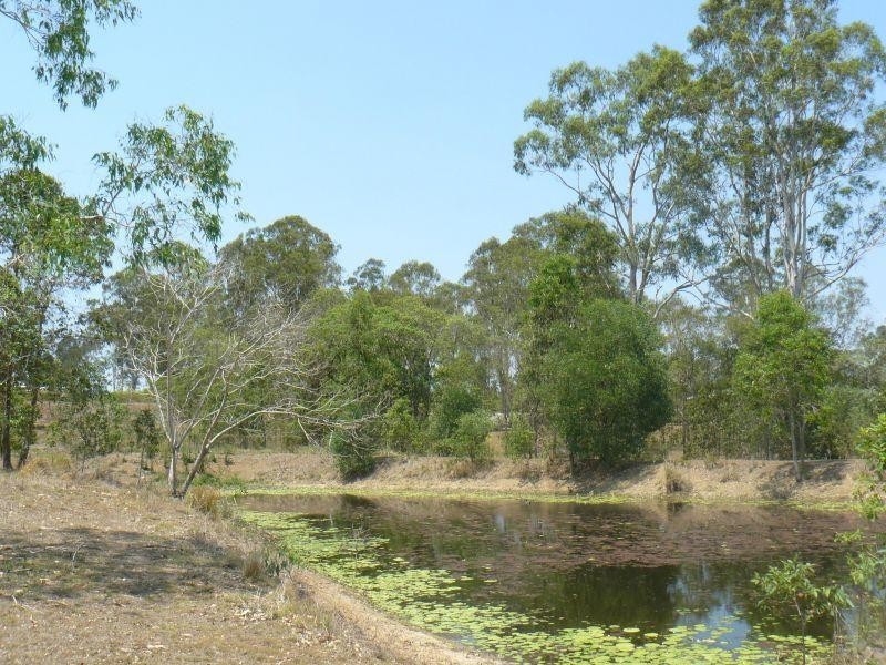 28  Claffey Rd, The Dawn QLD 4570