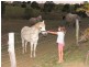 209 Hyland Road, Gympie QLD 4570