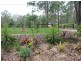 189 Neusavale Road, Wolvi QLD 4570
