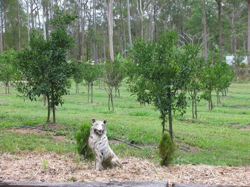 189 Neusavale Road, Wolvi QLD 4570