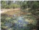 157 Rodney rd, Curra QLD 4570