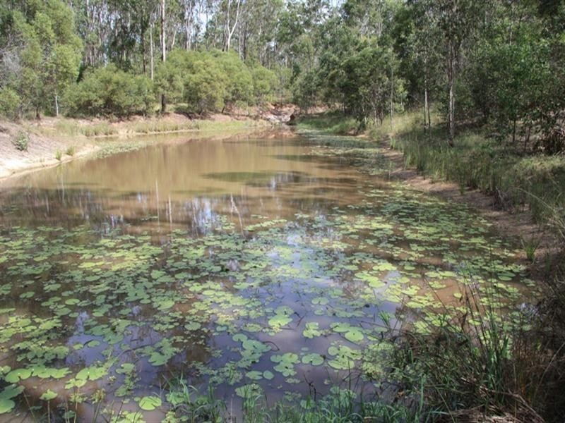 157 Rodney rd, Curra QLD 4570