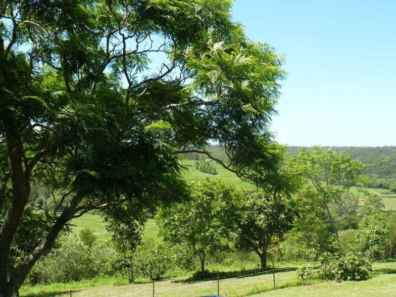 610 North Deep Creek Rd, North Deep Creek QLD 4570