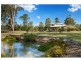 19  Stacy Lane, The Dawn QLD 4570