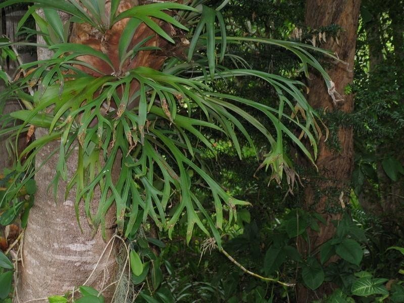 8 Valley Vista Road, The Dawn QLD 4570