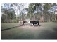 138 Cullinane Street, Sexton QLD 4570