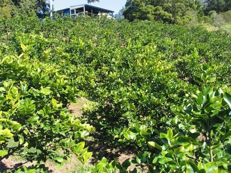 456 Beenham Valley Rd, Beenaam Valley QLD 4570