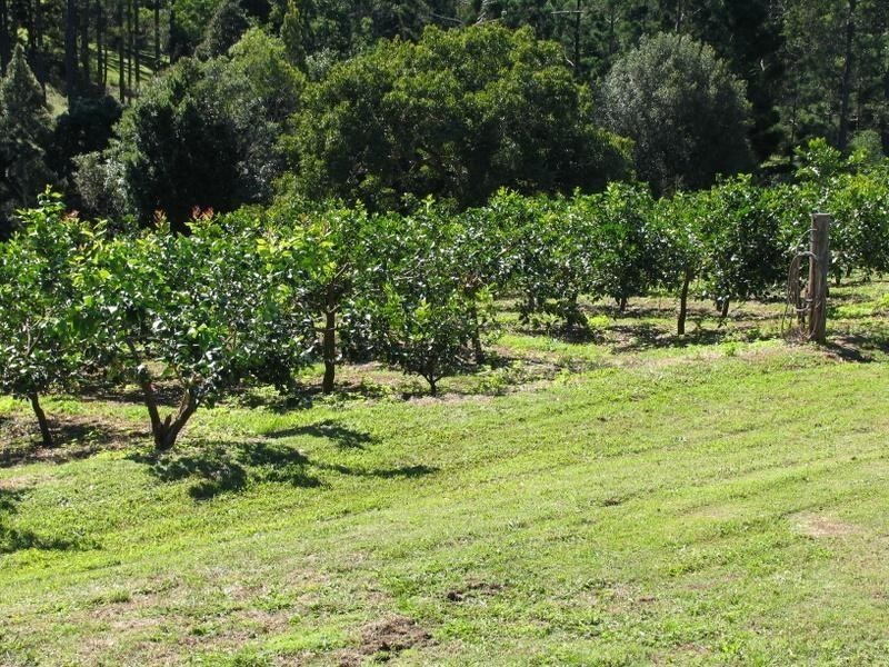 456 Beenham Valley Rd, Beenaam Valley QLD 4570