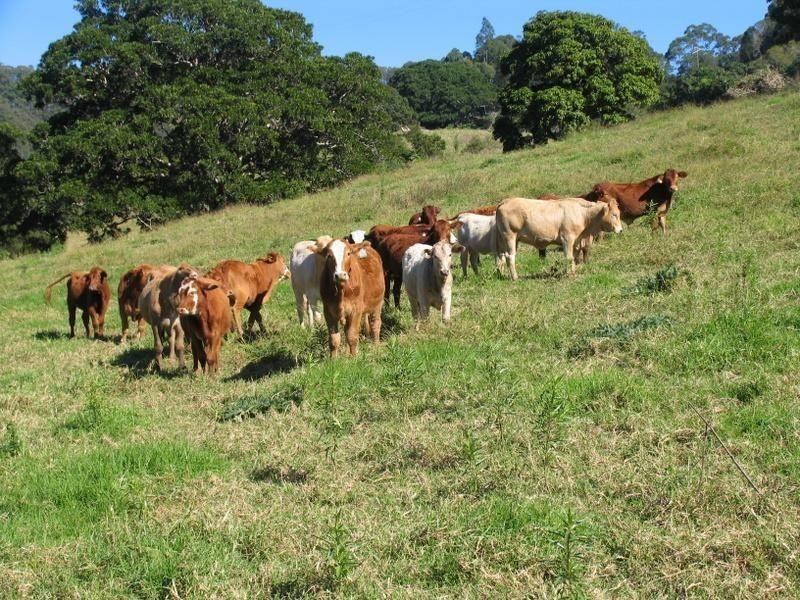 456 Beenham Valley Rd, Beenaam Valley QLD 4570