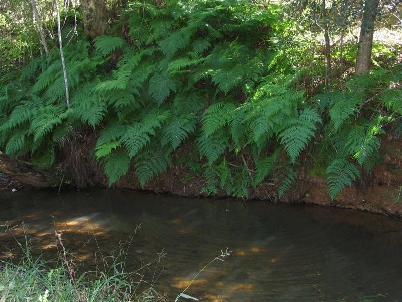 456 Beenham Valley Rd, Beenaam Valley QLD 4570