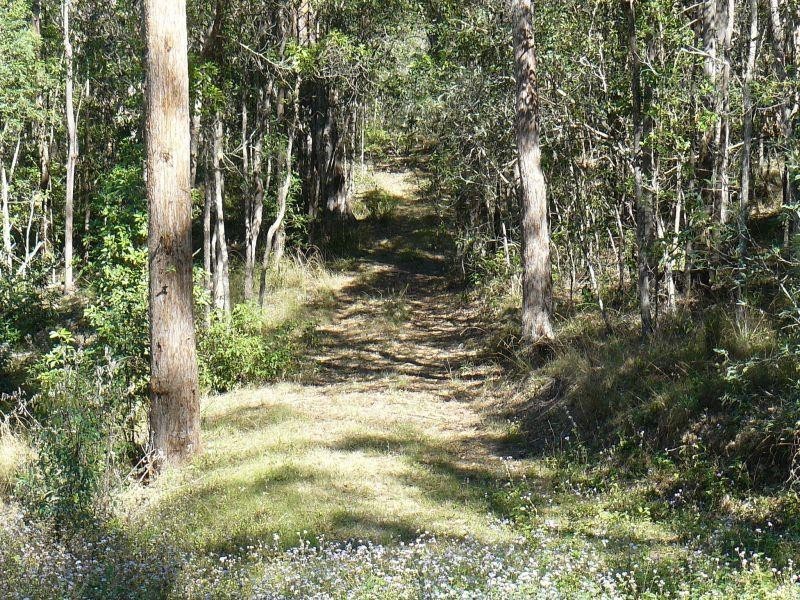 209 Dan Meurant Drive, Curra QLD 4570