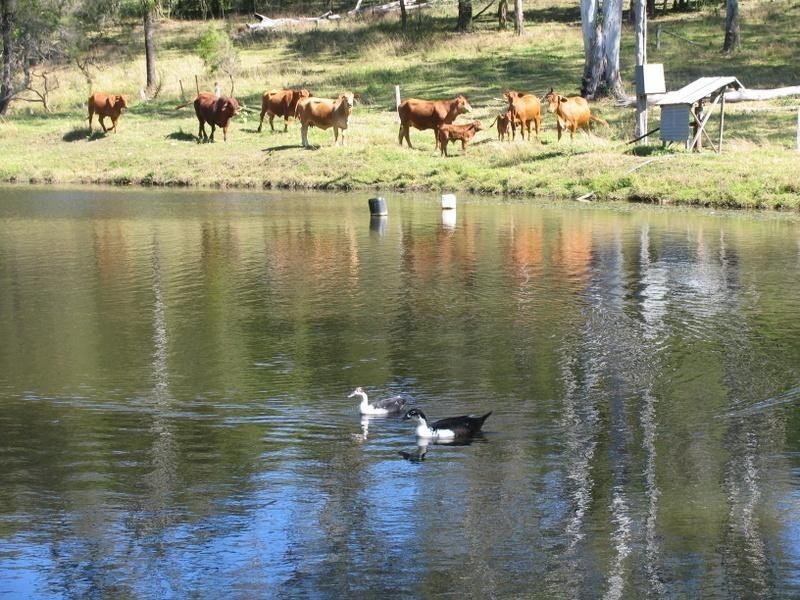 845 Bruce Highway, Chatsworth QLD 4570