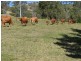 845 Bruce Highway, Chatsworth QLD 4570