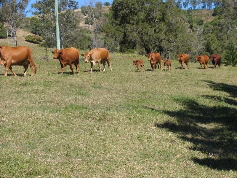 845 Bruce Highway, Chatsworth QLD 4570