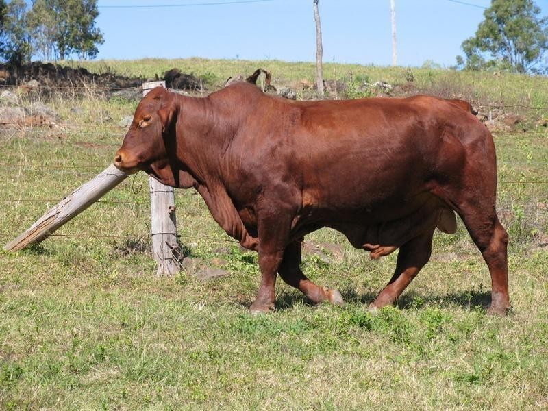 845 Bruce Highway, Chatsworth QLD 4570
