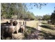 295 Eel Creek Road, Pie Creek QLD 4570