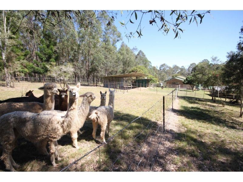 295 Eel Creek Road, Pie Creek QLD 4570
