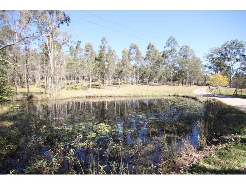 295 Eel Creek Road, Pie Creek QLD 4570