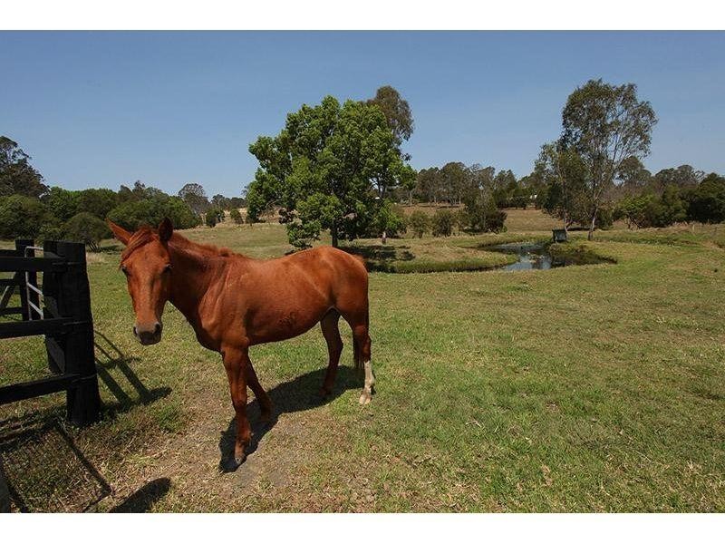 62 Horton Road, Chatsworth QLD 4570