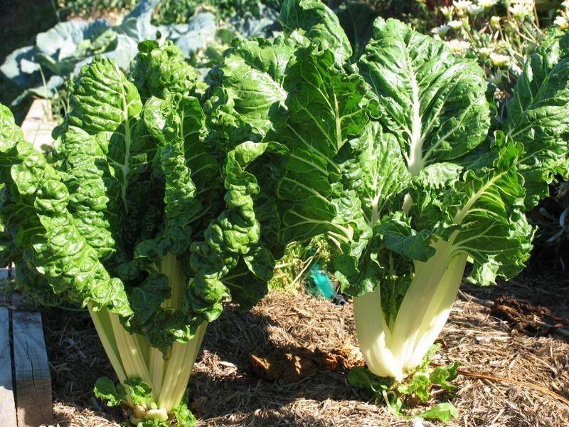 18 St Andrews Cres, Gympie QLD 4570