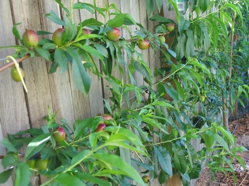 18 St Andrews Cres, Gympie QLD 4570