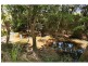 79  Delray Road, Mothar Mountain QLD 4570