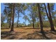 79  Delray Road, Mothar Mountain QLD 4570